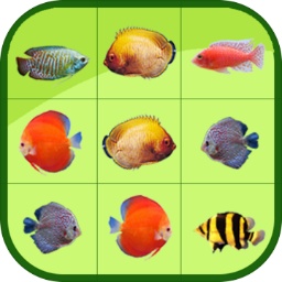 998娱乐app最新版本更新内容