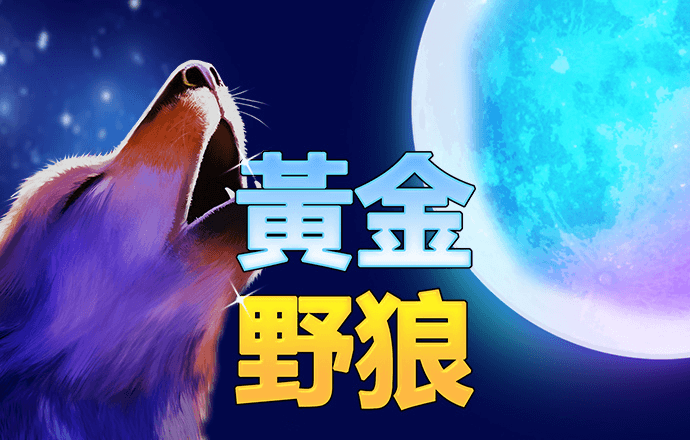 42982acm金牛网